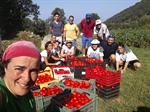 GREENCAMP - Cittadinanza Attiva