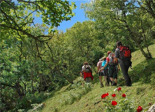 Trekking tra borghi, natura e spiritualità da Serra San Bruno a Stilo